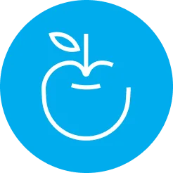 apple with stem and leaf